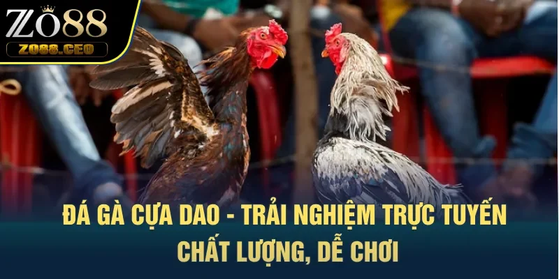 đá gà cựa dao