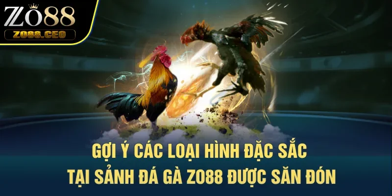 Gợi ý các loại hình đặc sắc tại sảnh đá gà Zo88 được săn đón