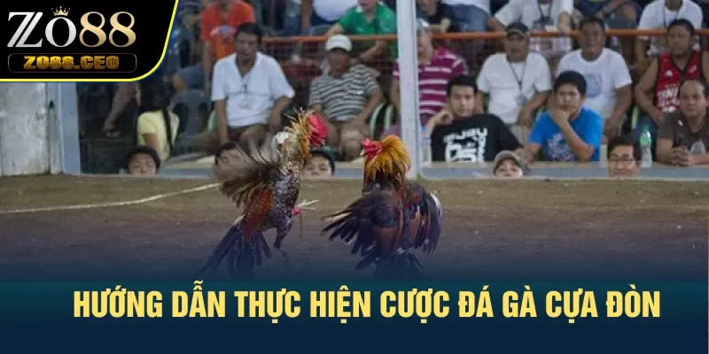 Hướng dẫn thực hiện cược đá gà cựa đòn