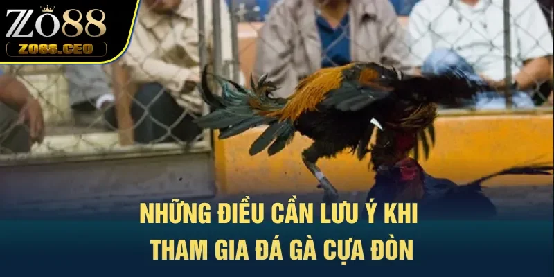 Những điều cần lưu ý khi tham gia đá gà cựa đòn