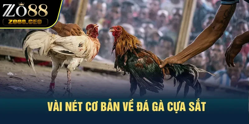 Vài nét cơ bản về đá gà cựa sắt
